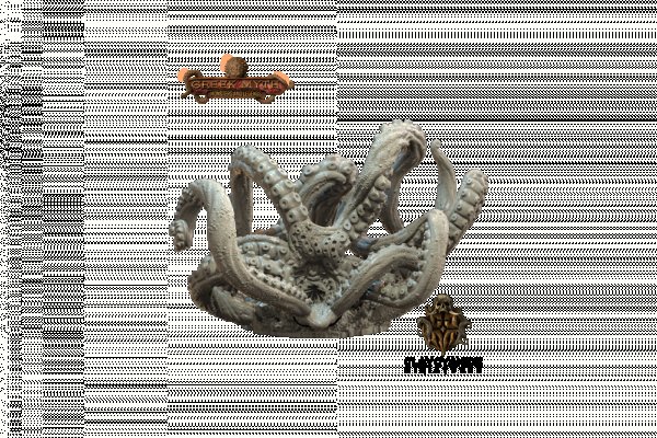 Hydra new