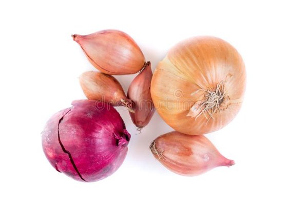 Kraken onion biz