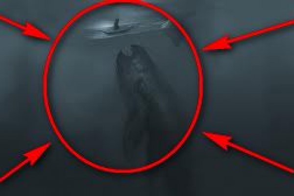 Официальный сайт kraken список