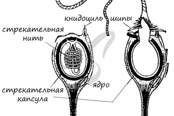 Зайти на кракен без тора