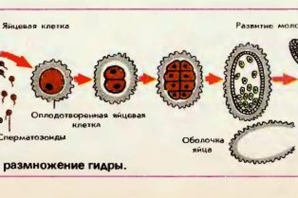 Кракен дарк площадка